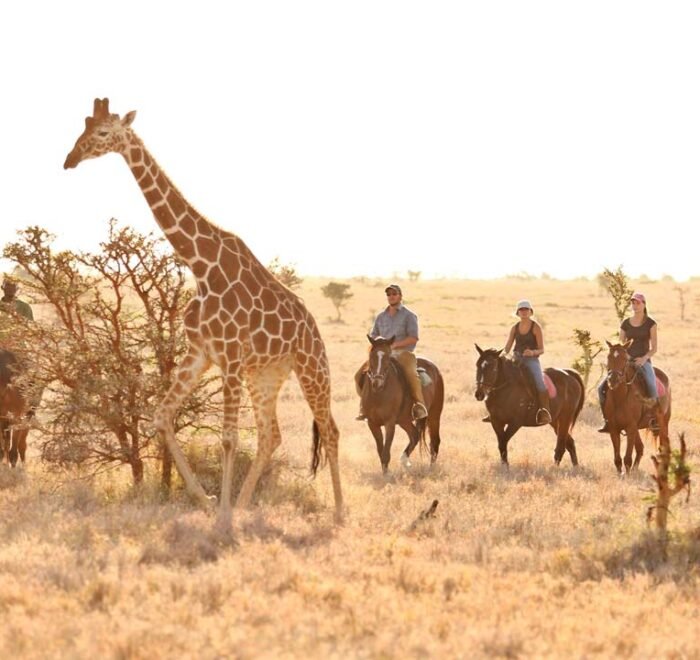 Luxury Safaris Horse Ride