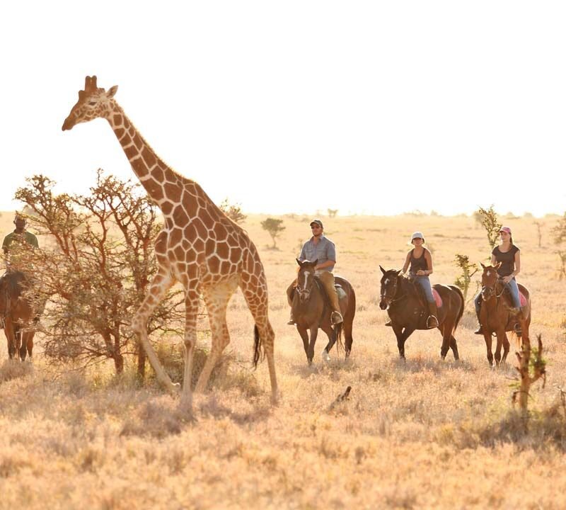 Luxury Safaris Horse Ride