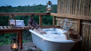 Luxury Safaris Tub
