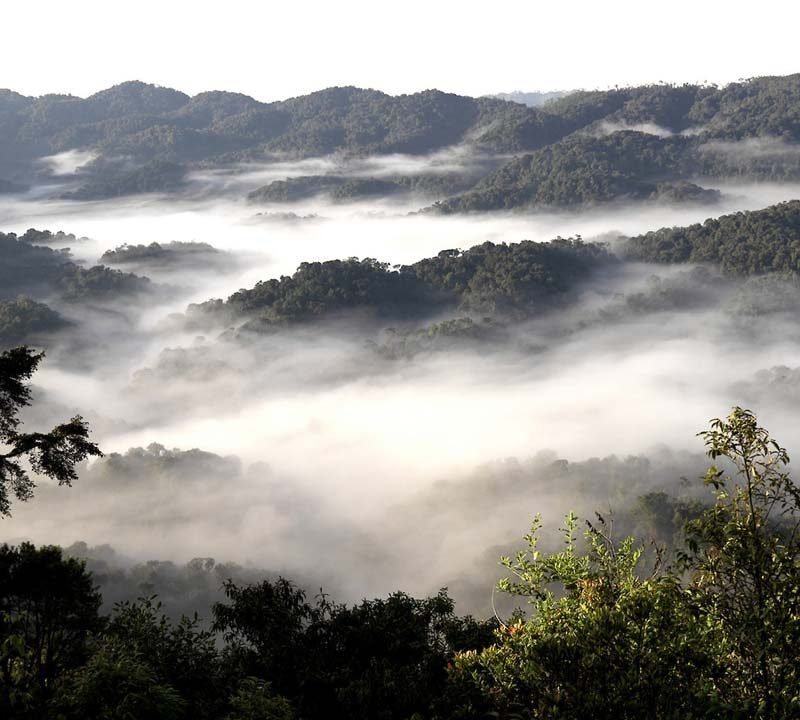 Nyungwe