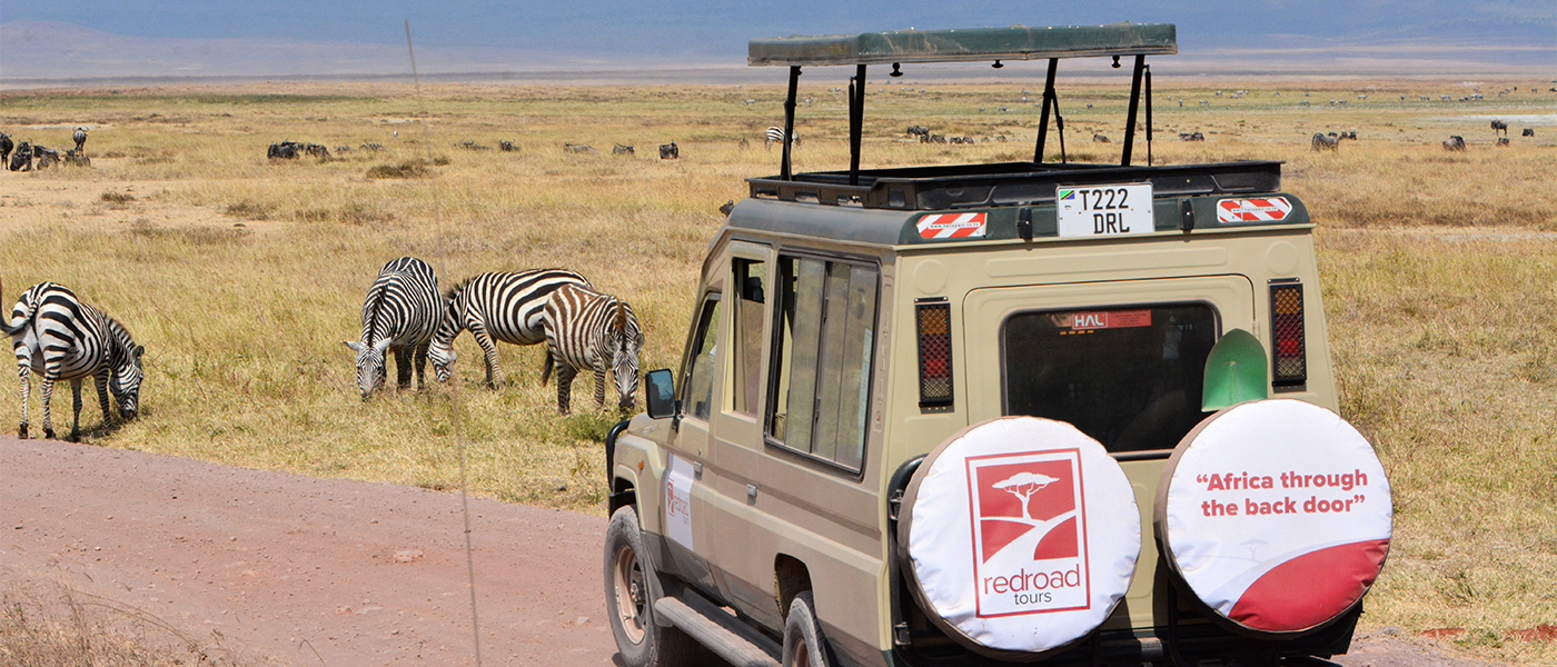 Embark on Unforgettable Journeys