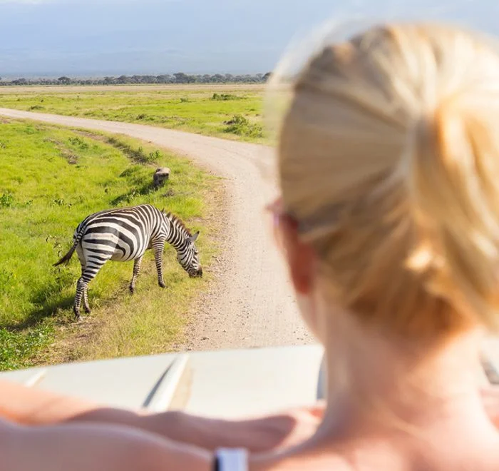 Safaris Adventures