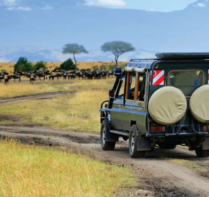  Classic Safari Experiences